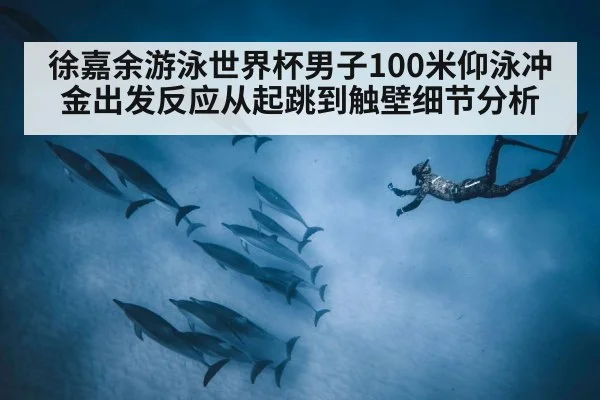 徐嘉余游泳世界杯男子100米仰泳冲金出发反应从起跳到触壁细节分析（kaiyun）